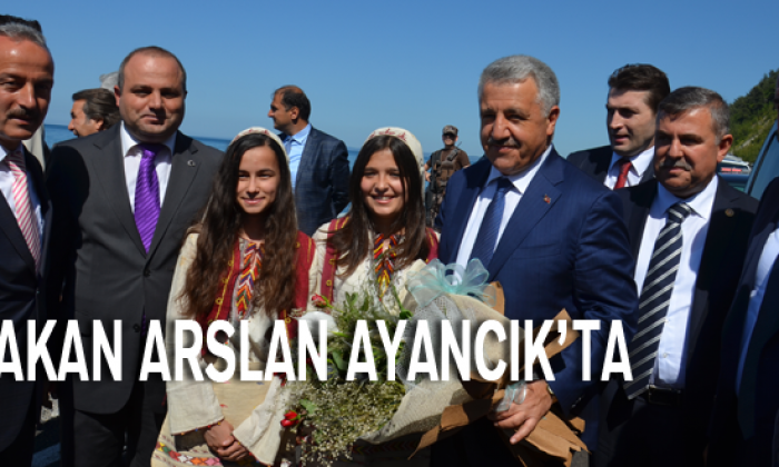 Bakan Arslan Ayancık’ta