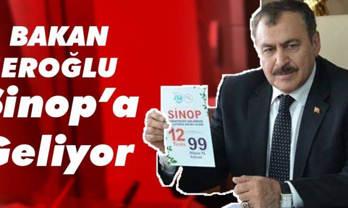 Bakan Veysel Eroğlu, Sinop’ta İncelemelerde Bulunacak