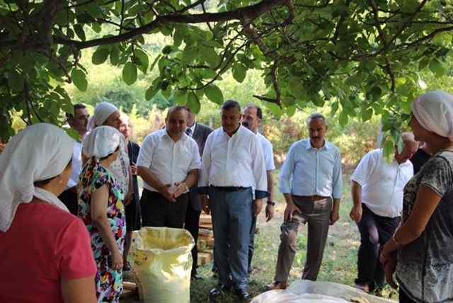 MAVİŞ’TEN AYANCIK ÇIKARMASI