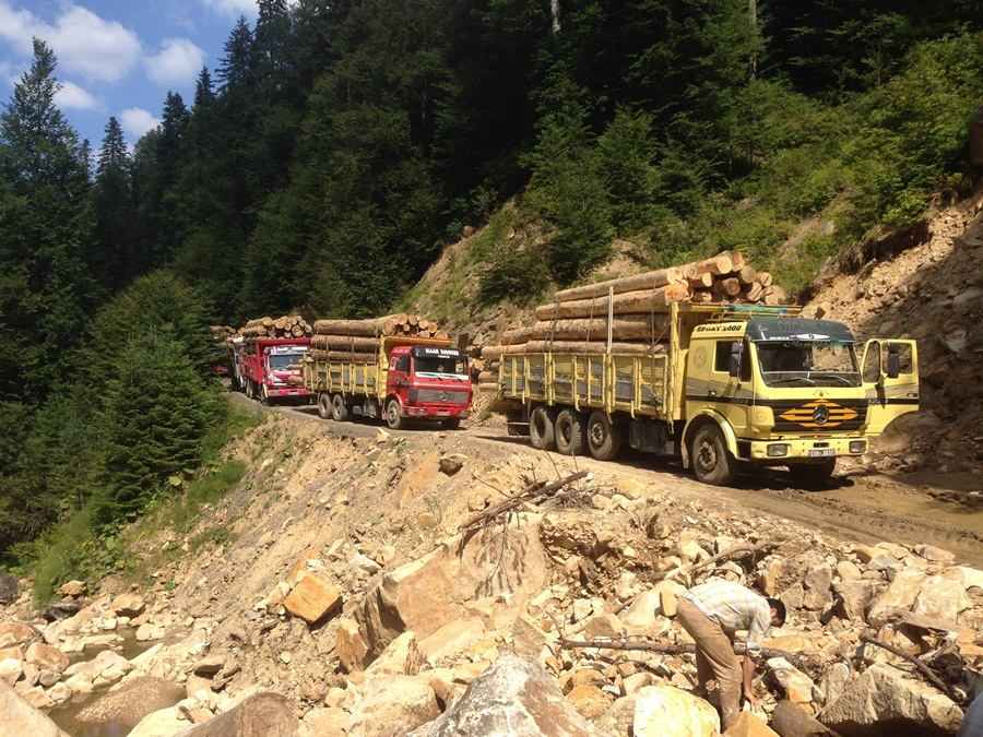 Ayancık Orman Hız Kesmiyor