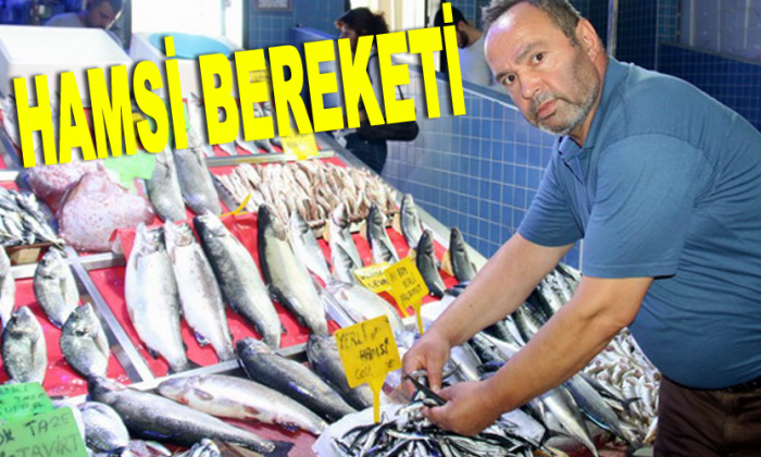 Sezonun ilk hamsileri Sinop’ta tutuldu