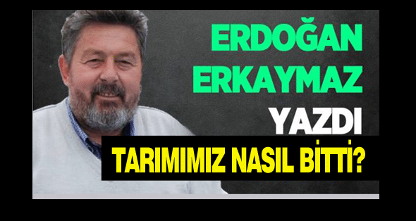 Tarımımız Nasıl Bitti?