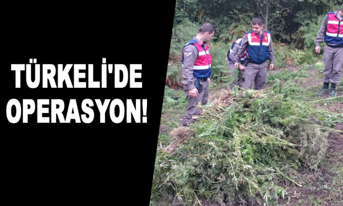Türkeli’de Operasyon!