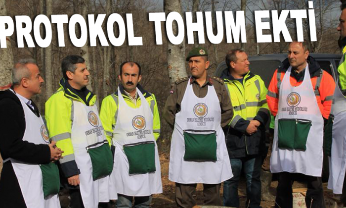Protokol tohum ekti