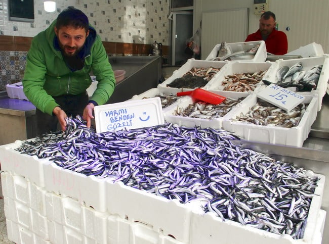 Hamsi Fiyatları Uçtu