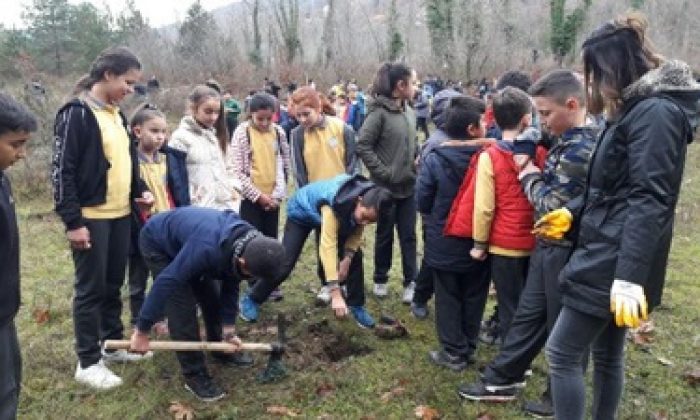 Ayancık Orman İşletme’den 500 Fidan, 500 Öğrenci Projesi