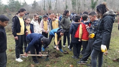 Ayancık Orman İşletme'den 500 Fidan, 500 Öğrenci Projesi