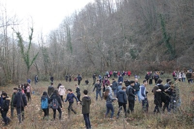 Ayancık Orman İşletme'den 500 Fidan, 500 Öğrenci Projesi