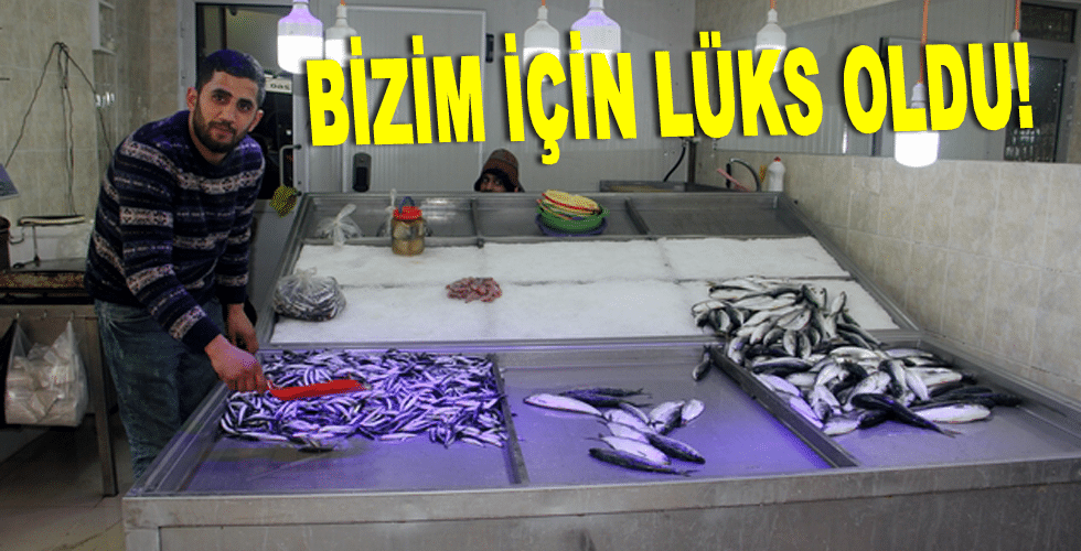 Hamsi artık bizim için lüks oldu