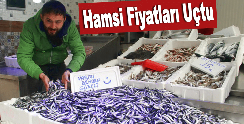 Hamsi Fiyatları Uçtu