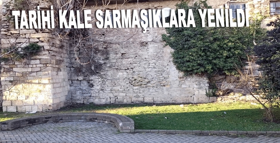 Tarihi kale sarmaşıklara yenildi