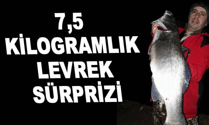 7,5 kilogramlık levrek sürprizi