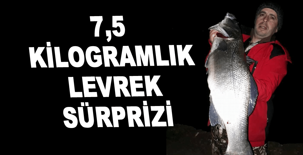 7,5 kilogramlık levrek sürprizi