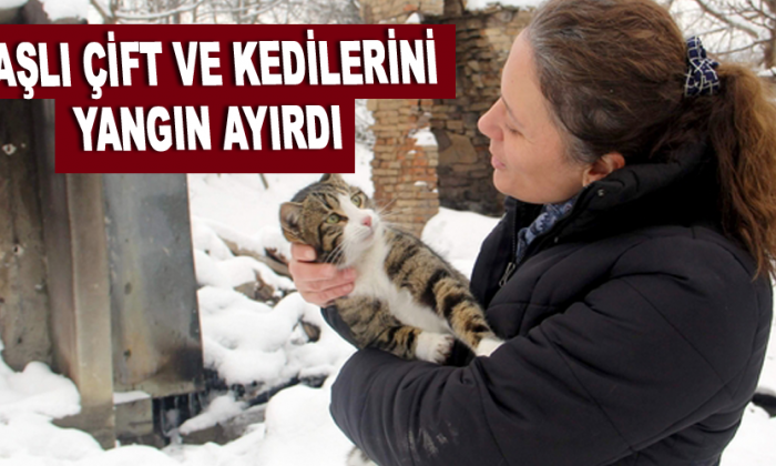Yaşlı çift ve kedilerini yangın ayırdı