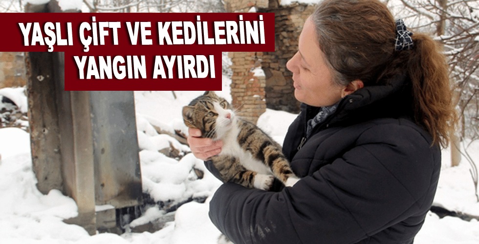 Yaşlı çift ve kedilerini yangın ayırdı