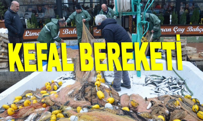 Balıkçılara “kefal” piyangosu