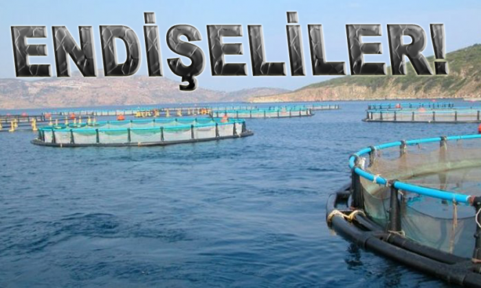 Balık çiftliklerinden endişeliler!
