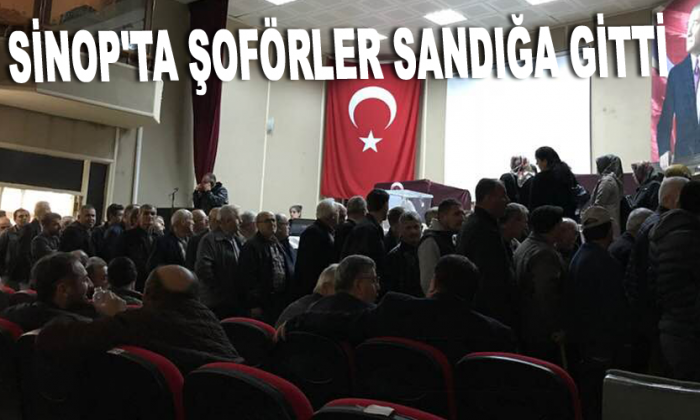Sinop’ta şoförler sandığa gitti