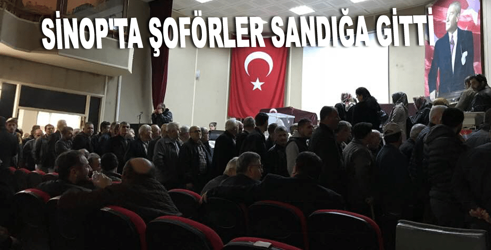 Sinop’ta şoförler sandığa gitti