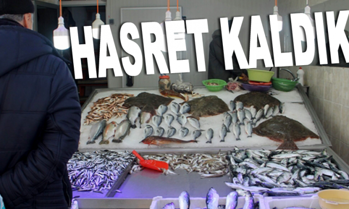 Sinoplu vatandaş hamsiye hasret kaldı
