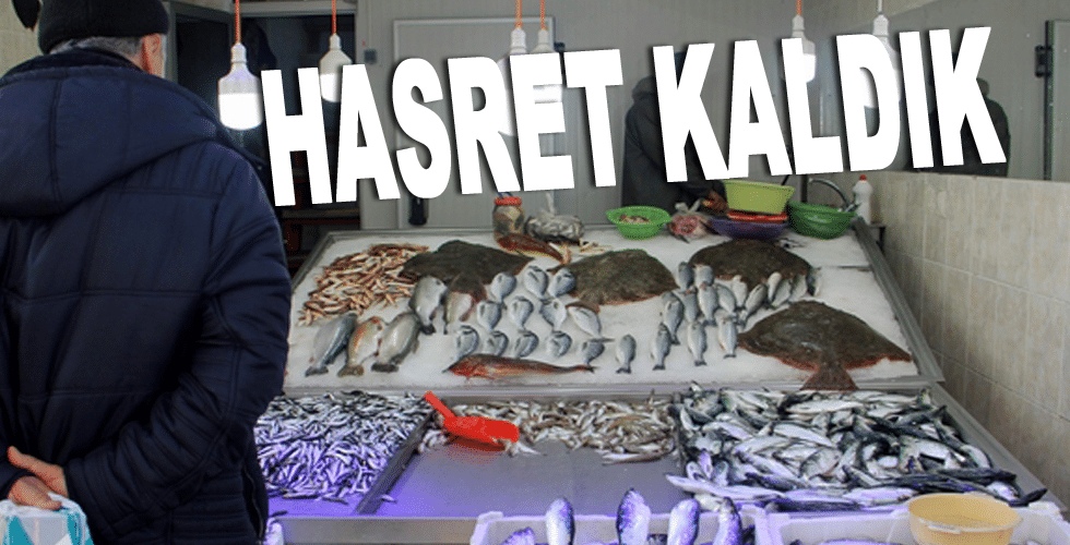 Sinoplu vatandaş hamsiye hasret kaldı