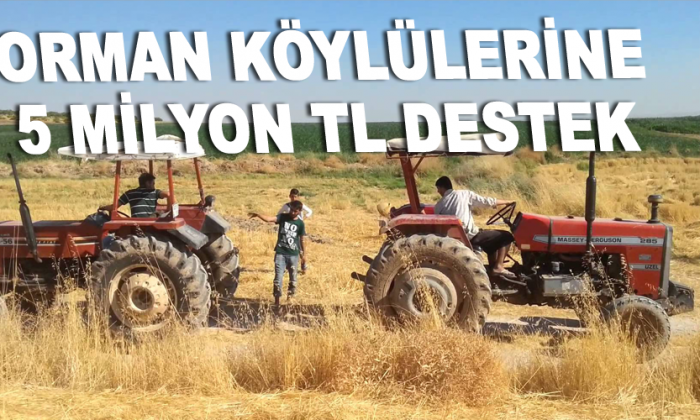 ORMAN KÖYLÜLERİNE 5 MİLYON TL DESTEK