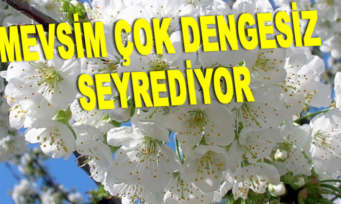 MEVSİM ÇOK DENGESİZ SEYREDİYOR