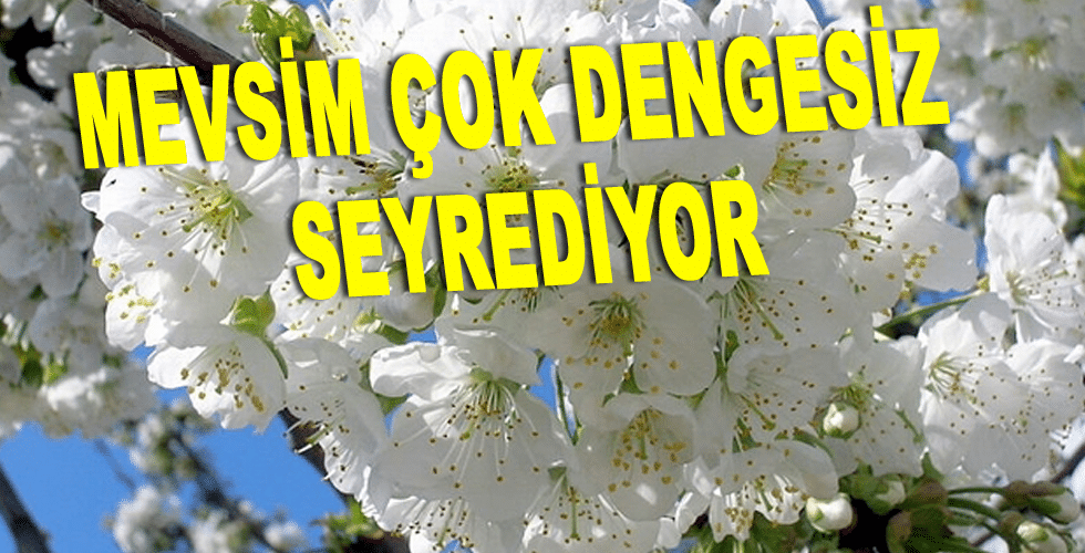 MEVSİM ÇOK DENGESİZ SEYREDİYOR