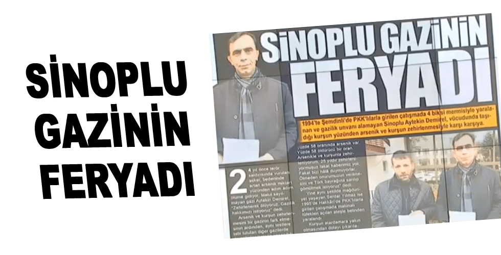 Sinoplu gazinin feryadı