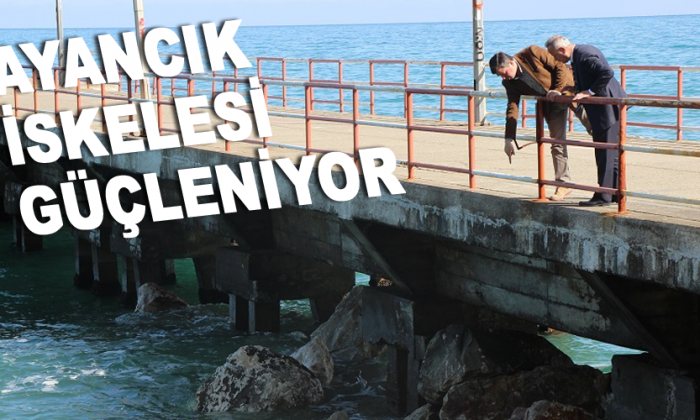 Ayancık İskelesi Güçleniyor