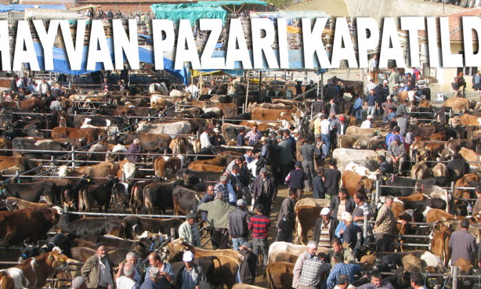 Şap Tehlikesi Sebebiyle Boyabat Hayvan Pazarı Kapatıldı