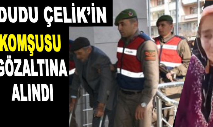 Komşusu gözaltına alındı