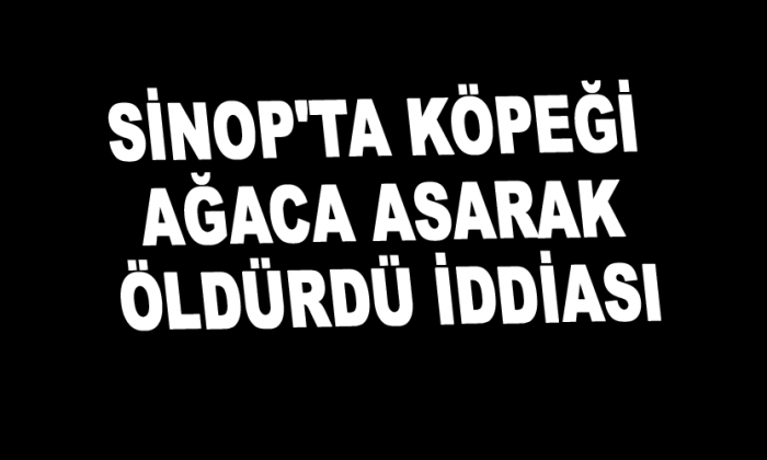 Sinop’ta köpeği ağaca asarak öldürdü iddiası