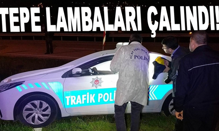 Tepe lambaları çalındı!