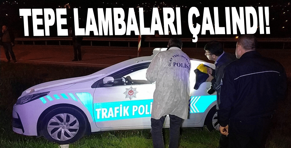 Tepe lambaları çalındı!