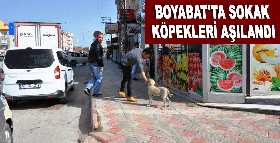 Boyabat’ta sokak köpekleri aşılandı