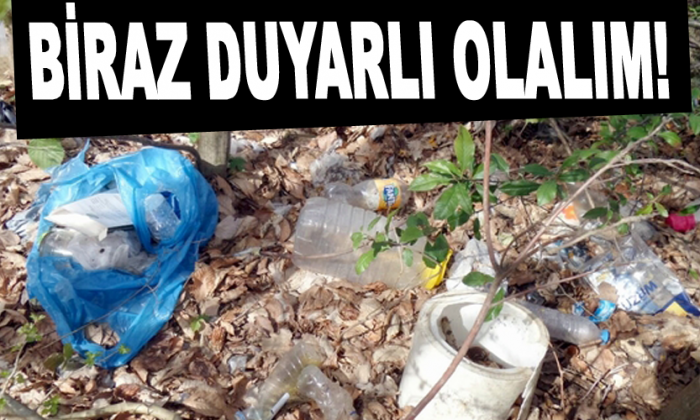 Orman çöplüğe döndü
