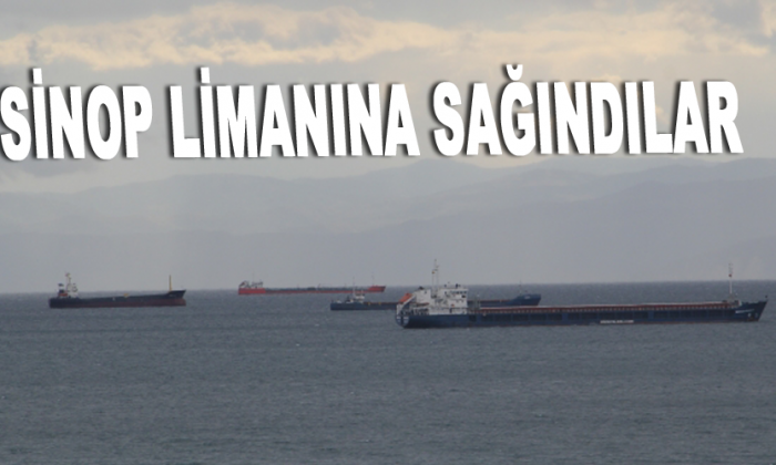 Sinop Limanına sağındılar