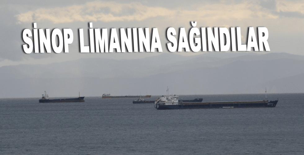 Sinop Limanına sağındılar