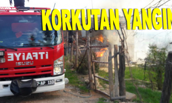 Korkutan yangın!