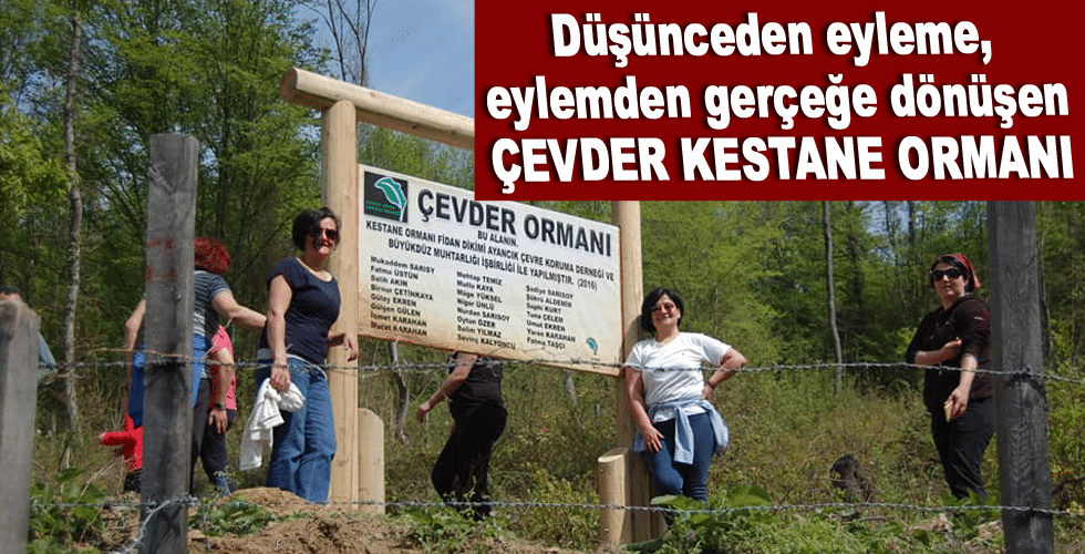 Düşünceden eyleme, eylemden gerçeğe dönüşen ÇEVDER KESTANE ORMANI