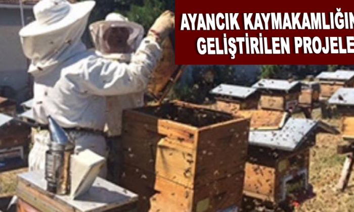 AYANCIK KAYMAKAMLIĞINCA GELİŞTİRİLEN PROJELER