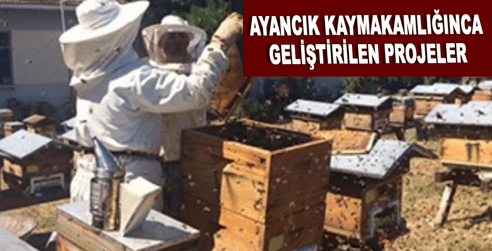 AYANCIK KAYMAKAMLIĞINCA GELİŞTİRİLEN PROJELER