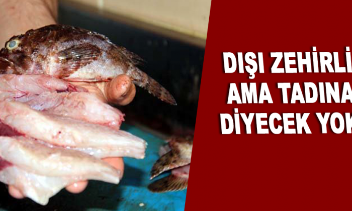 Dışı zehirli ama tadına diyecek yok!