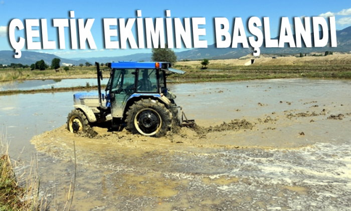 Çeltik ekimine başlandı