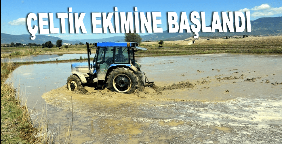 Çeltik ekimine başlandı