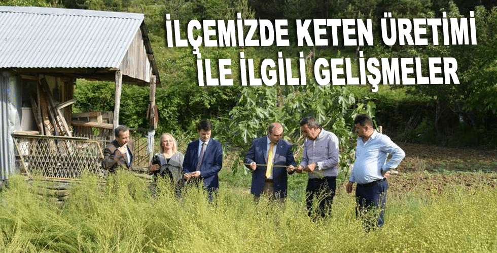 İlçemizde Keten Üretimi İle İlgili Gelişmeler