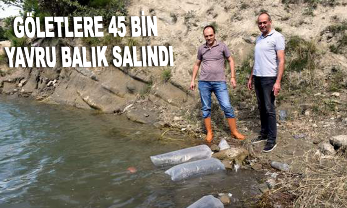 Göletlere 45 bin yavru balık