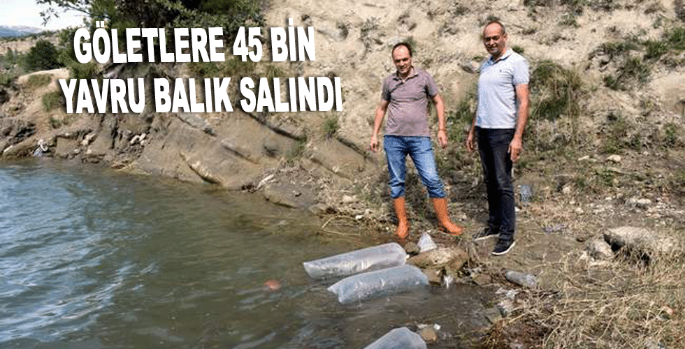 Göletlere 45 bin yavru balık