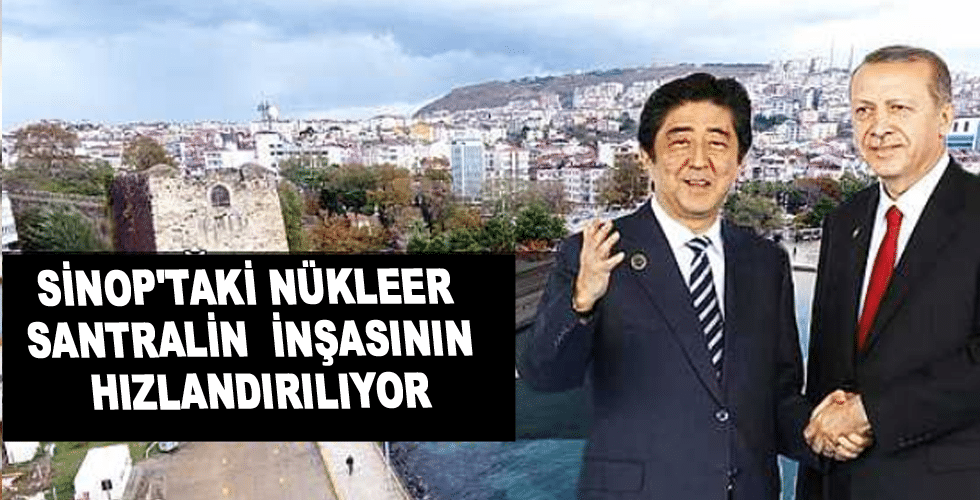 Erdoğan, Japon Başbakanla Sinop nükleerini konuştu